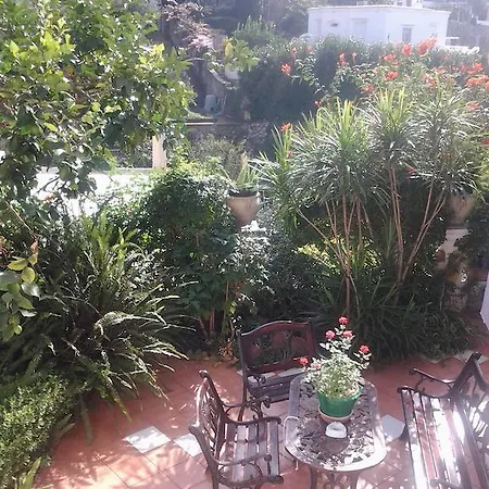 Angelide アナカプリ