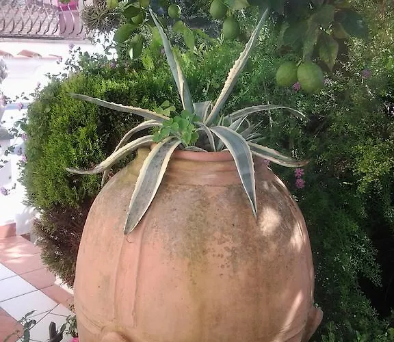 ベッド・アンド・ブレックファスト Angelide 4*