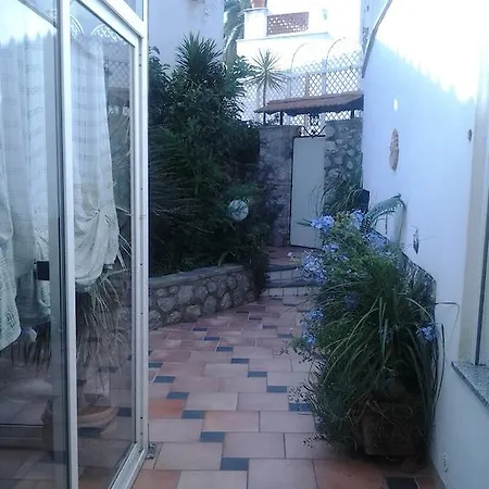 Angelide 4*