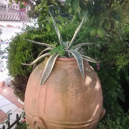 Bed & Breakfast Angelide 4*