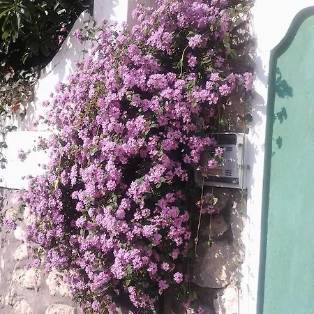 Bed & Breakfast Angelide Anacapri (Isola di Capri)