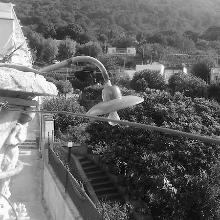 ベッド・アンド・ブレックファスト Angelide アナカプリ