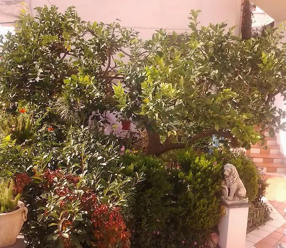 Bed & Breakfast Angelide