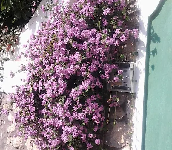 Bed & Breakfast Angelide Anacapri (Isola di Capri)